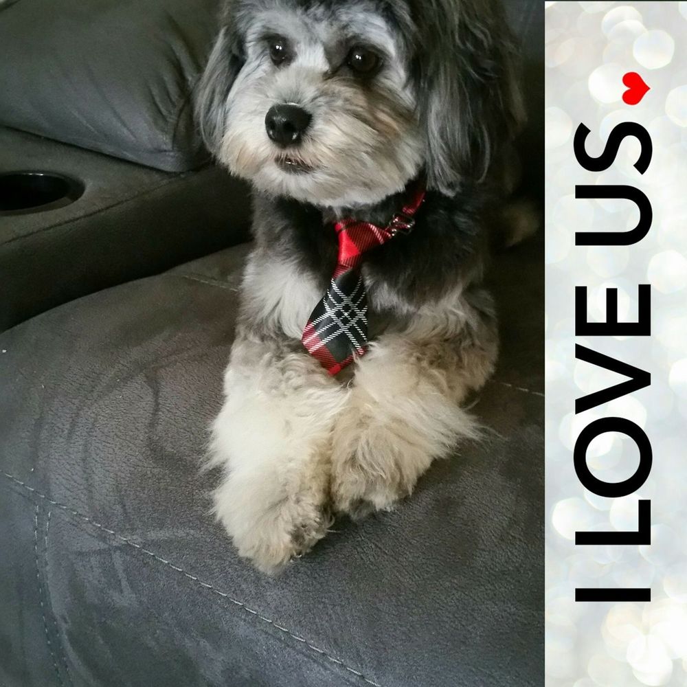 Meet your Posher, Marian